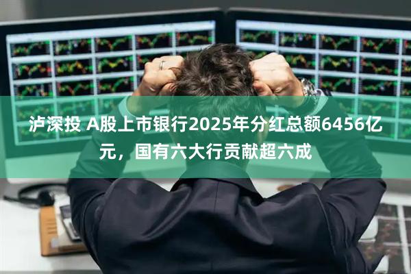 泸深投 A股上市银行2025年分红总额6456亿元，国有六大行贡献超六成